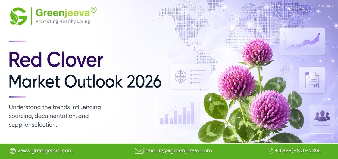 Red Clover Market Trends 2026: What's Driving Demand in the Botanical Ingredient Market